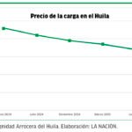 Caída en precios del paddy verde ‘agita’ a los arroceros