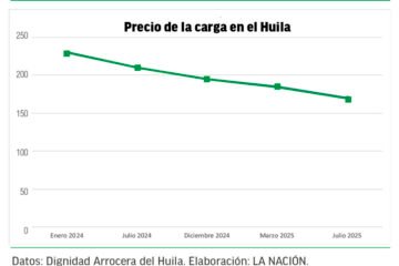 Caída en precios del paddy verde ‘agita’ a los arroceros