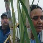 Historias del buen valle: Dignidad, Humanidad y Solidaridad (*****)