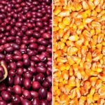 Preocupa soberanía alimentaria: Colombia está cultivando menos e importando más