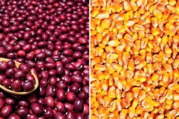 Preocupa soberanía alimentaria: Colombia está cultivando menos e importando más