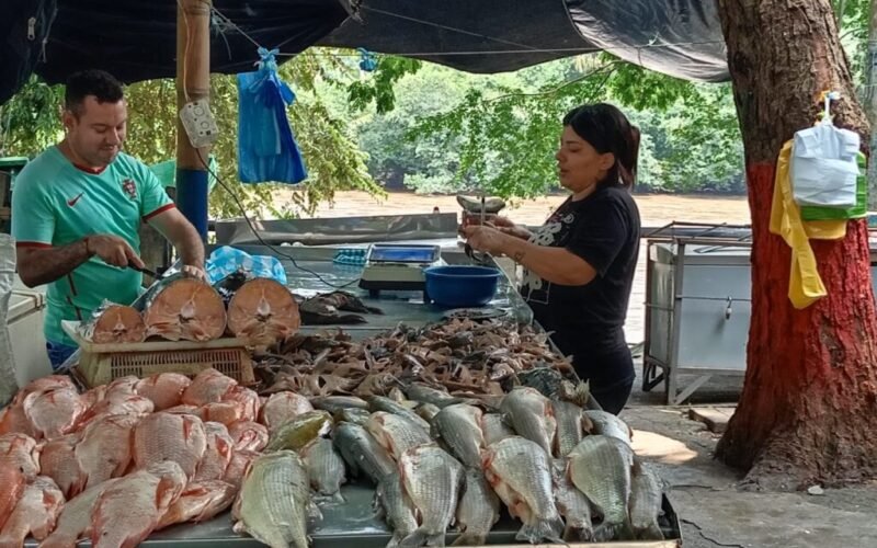 Bocachico, a $18.000 y $20.000 la libra: así se mueve el mercado de la pesca artesanal