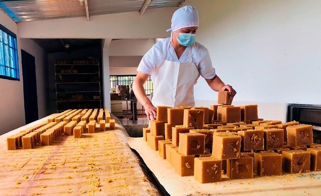 Están derritiendo azúcar para venderla como panela, denuncia Fedepanela