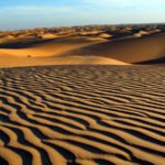 Medio centenar de personas mueren deshidratados en el desierto en Níger