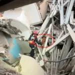 Héroes de cuatro patas: así arriesgan su vida los perros españoles de rescate en Venezuela