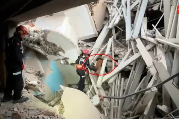 Héroes de cuatro patas: así arriesgan su vida los perros españoles de rescate en Venezuela