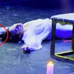 Se cuela un gato en el escenario y destroza la escena final de Romeo y Julieta