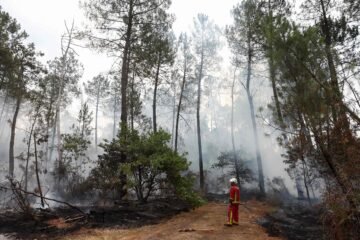 Los bomberos logran «estabilizar» el megaincendio de Gironda
