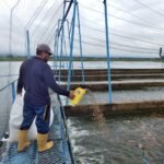 Así se alistan los piscicultores para “El Niño”