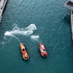 Un tiburón de 3,5 metros, atrapado en Busan y nombrado «embajador honorario»