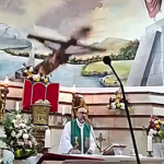 Muere un sacerdote en Ecuador tras caerle una cruz durante una misa transmitida en directo
