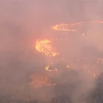 Un gran incendio arrasa más de 400 hectáreas en el Bosque Nacional de Ángeles y desalojan a residentes cercanos